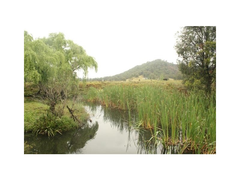 Rollands Plains NSW 2441