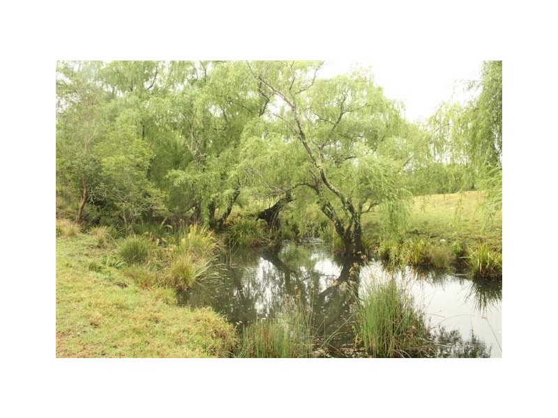 Rollands Plains NSW 2441