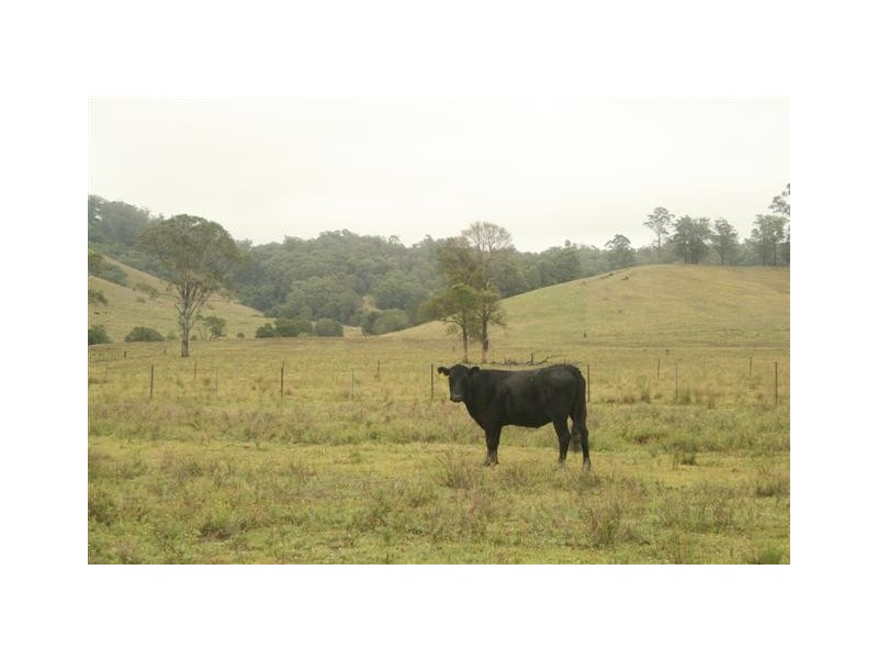 Rollands Plains NSW 2441