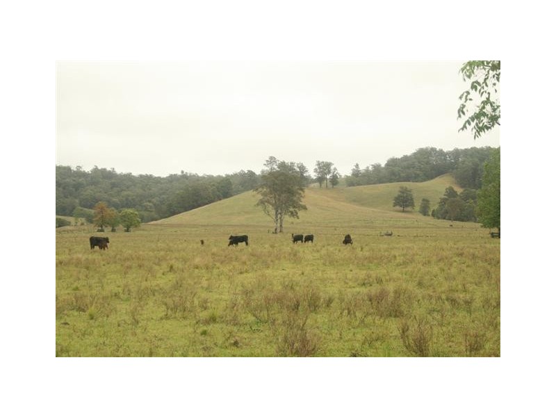 Rollands Plains NSW 2441