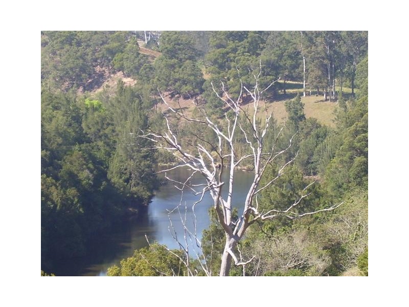 Long Flat NSW 2446