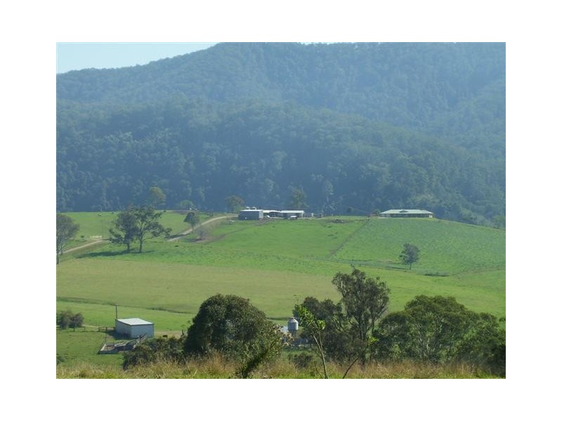 Long Flat NSW 2446