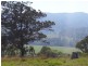 Long Flat NSW 2446