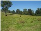 Long Flat NSW 2446