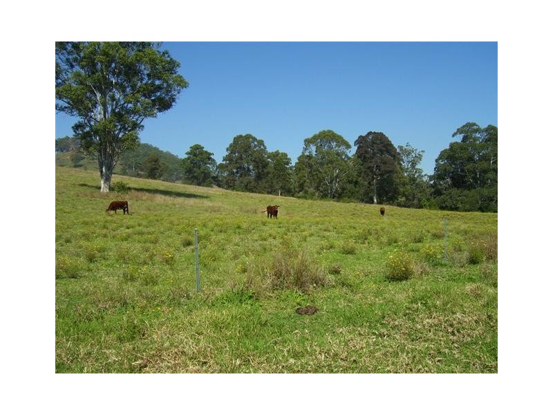 Long Flat NSW 2446