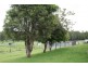Wauchope NSW 2446