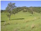Toms Creek NSW 2446