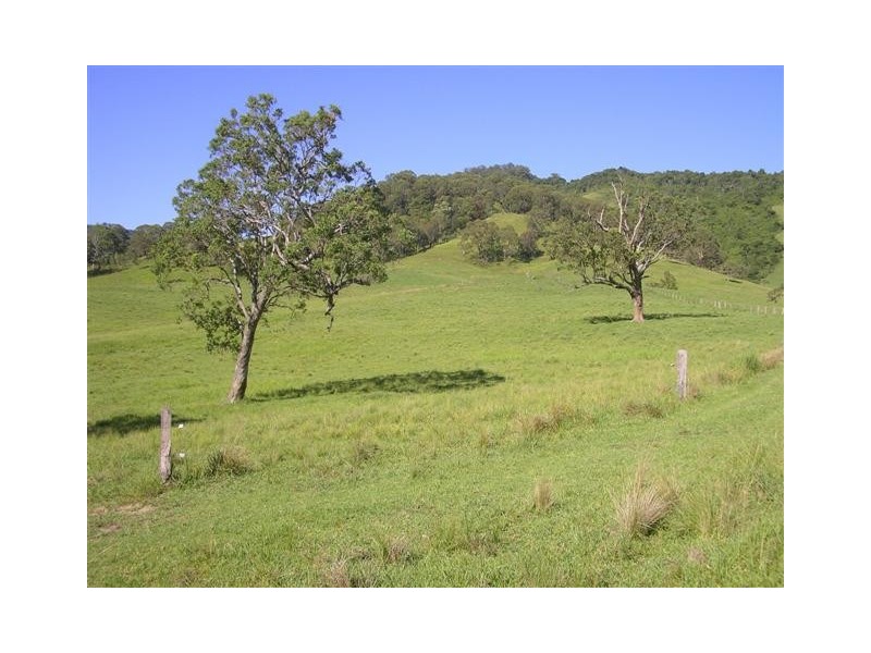 Toms Creek NSW 2446