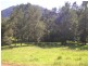 Toms Creek NSW 2446