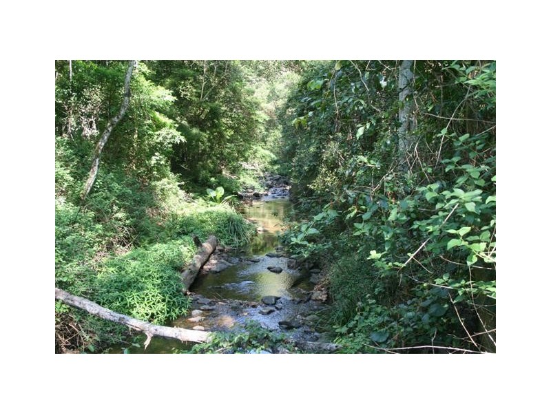 Toms Creek NSW 2446