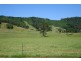 Toms Creek NSW 2446