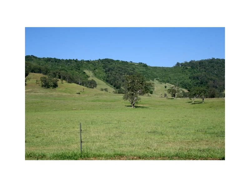 Toms Creek NSW 2446