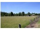 Sancrox NSW 2446