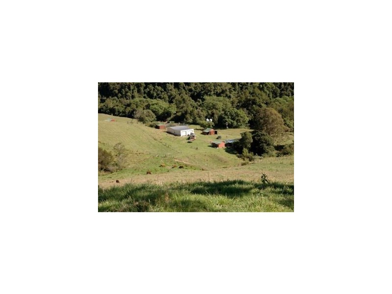 Kindee NSW 2446
