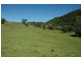 Kindee NSW 2446