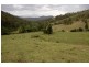 Kindee NSW 2446