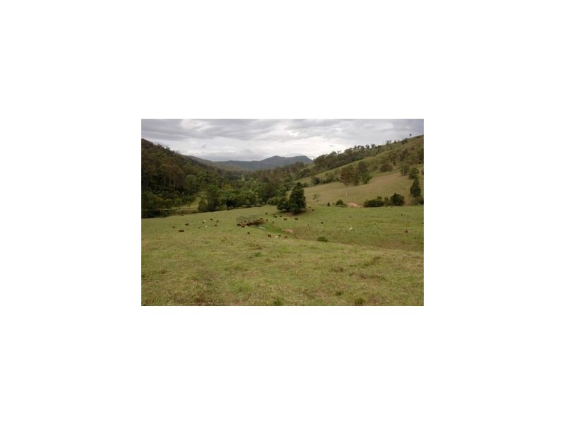 Kindee NSW 2446