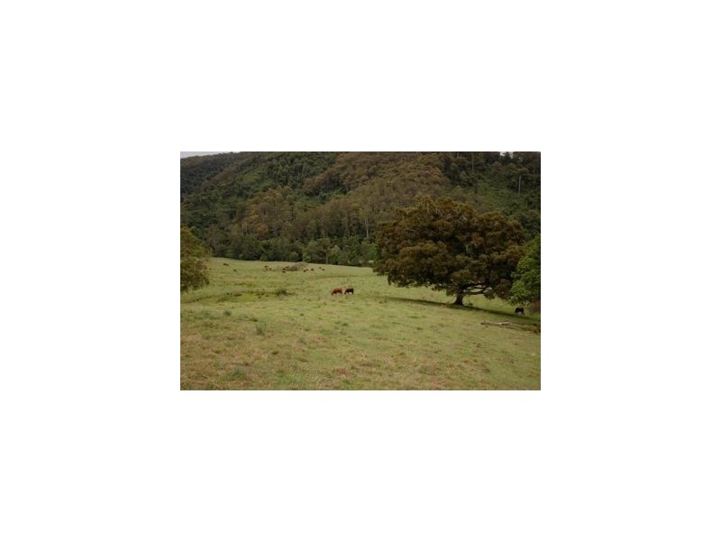 Kindee NSW 2446