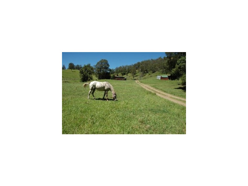 Kindee NSW 2446