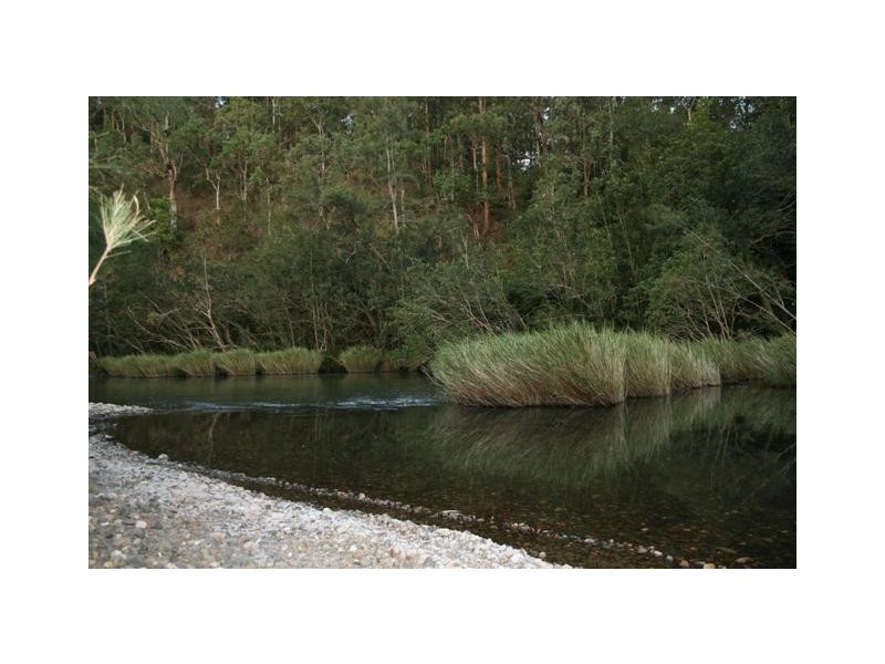 Ellenborough NSW 2446