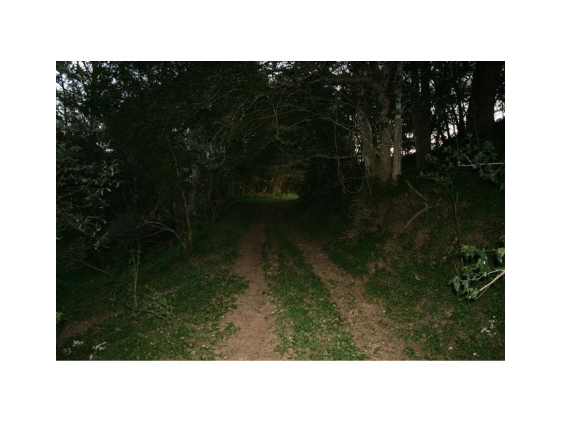 Ellenborough NSW 2446