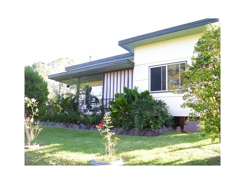 Kindee NSW 2446