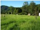Kindee NSW 2446