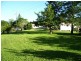 Kindee NSW 2446