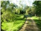 Kindee NSW 2446