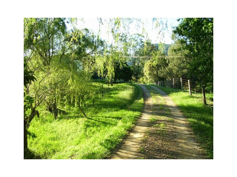Kindee NSW 2446