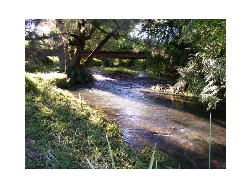 Kindee NSW 2446