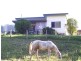 Kindee NSW 2446