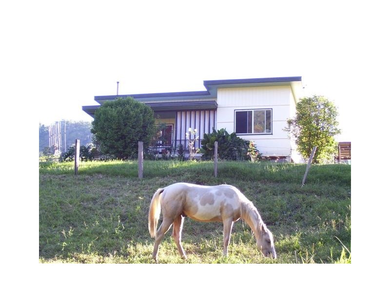 Kindee NSW 2446