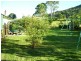 Kindee NSW 2446
