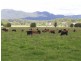 Wauchope NSW 2446
