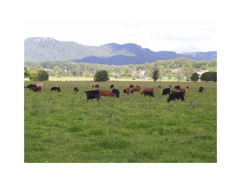 Wauchope NSW 2446