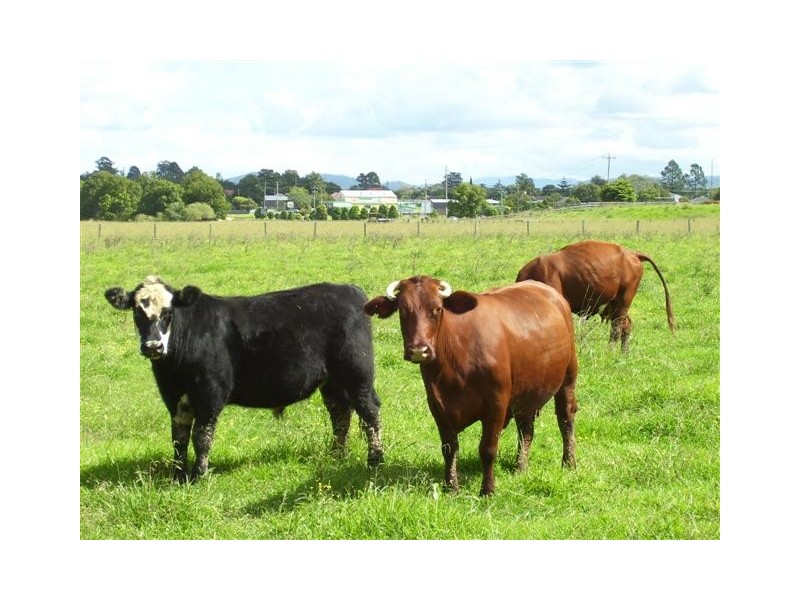 Wauchope NSW 2446