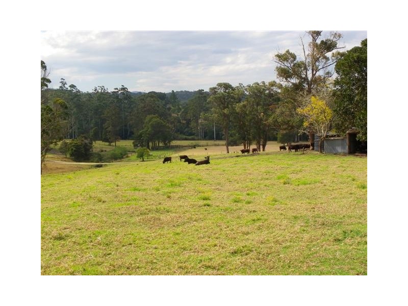 Frazers Creek NSW 2446