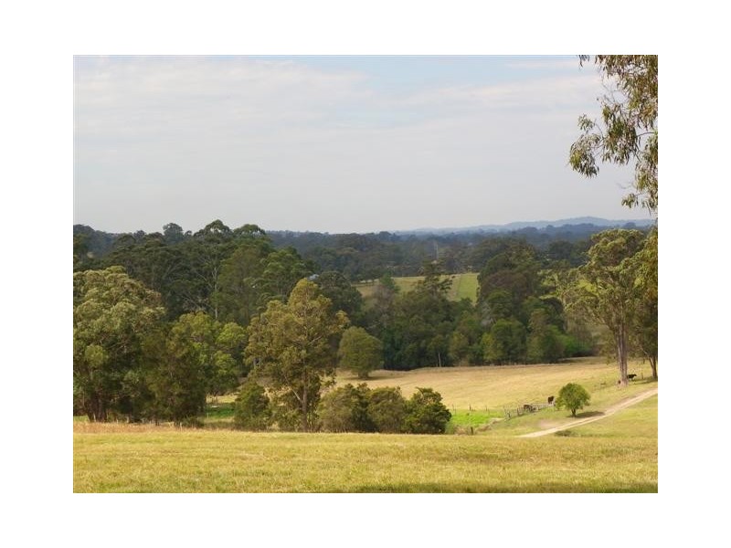 Frazers Creek NSW 2446