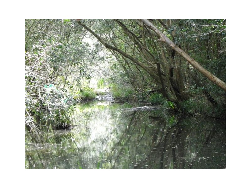 Frazers Creek NSW 2446