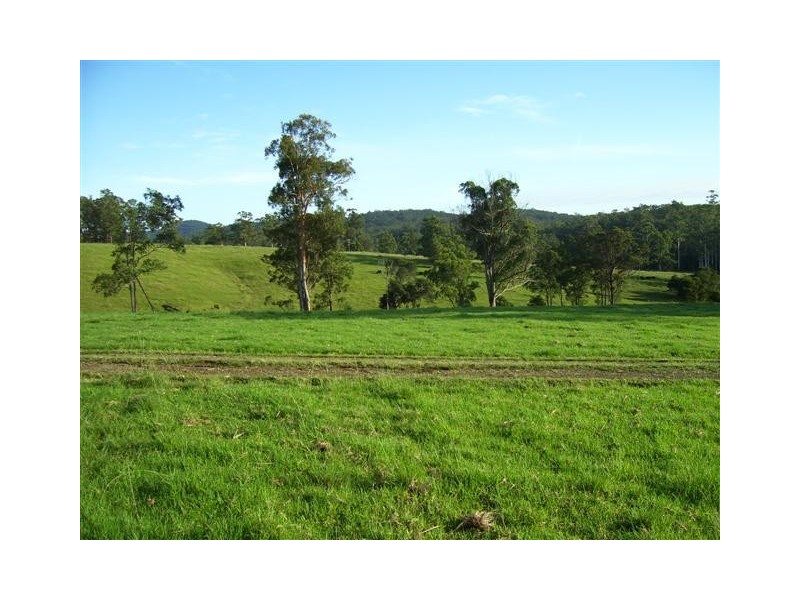 Frazers Creek NSW 2446