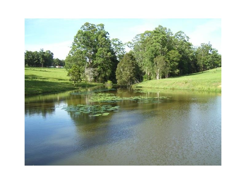 Frazers Creek NSW 2446