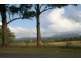 Beechwood NSW 2446