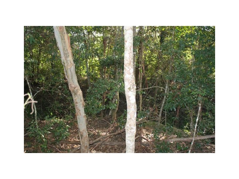 King Creek NSW 2446