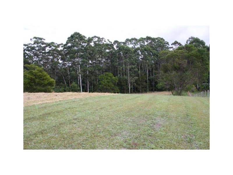 King Creek NSW 2446