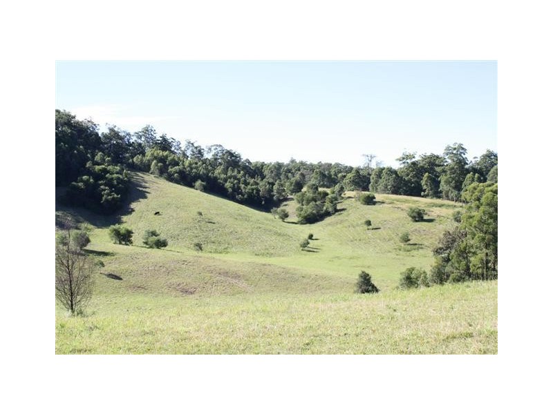 Wauchope NSW 2446