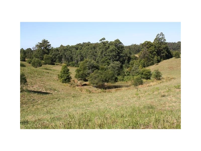 Wauchope NSW 2446