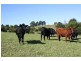 Wauchope NSW 2446