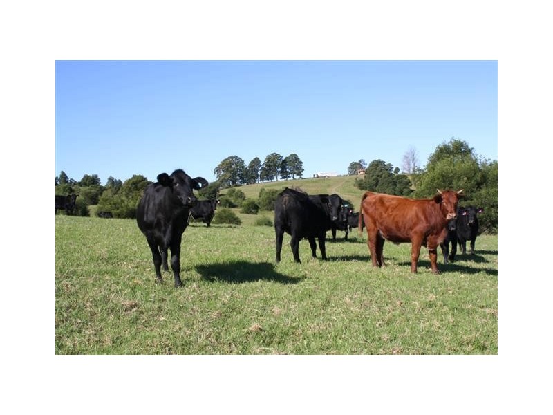 Wauchope NSW 2446
