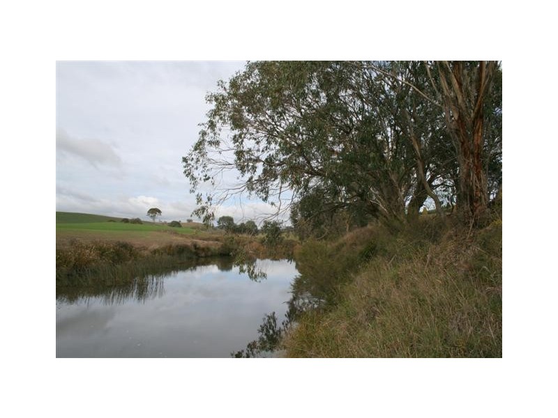 Yarrowitch NSW 2354